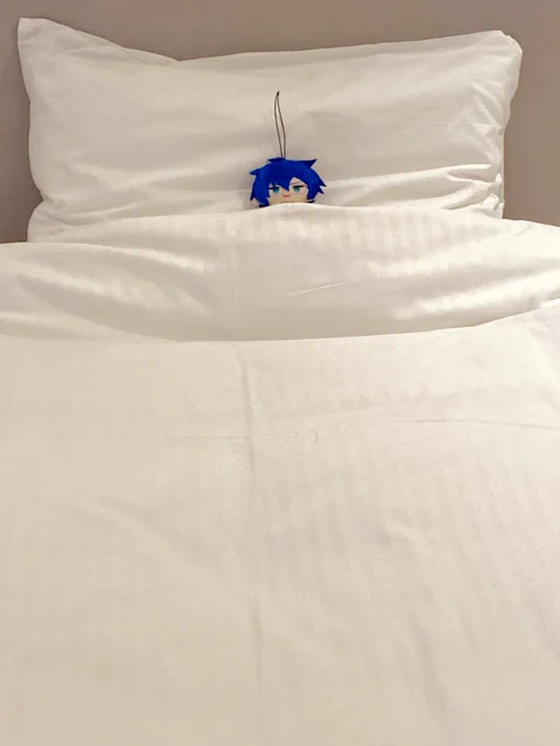 卜ラベルしてました 