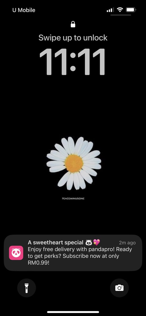 Lilyasdaisy's tweet photo. coincidence with 11.11, daisy and foodpanda 😂❤️ https://t.co/8V0GGPExFG