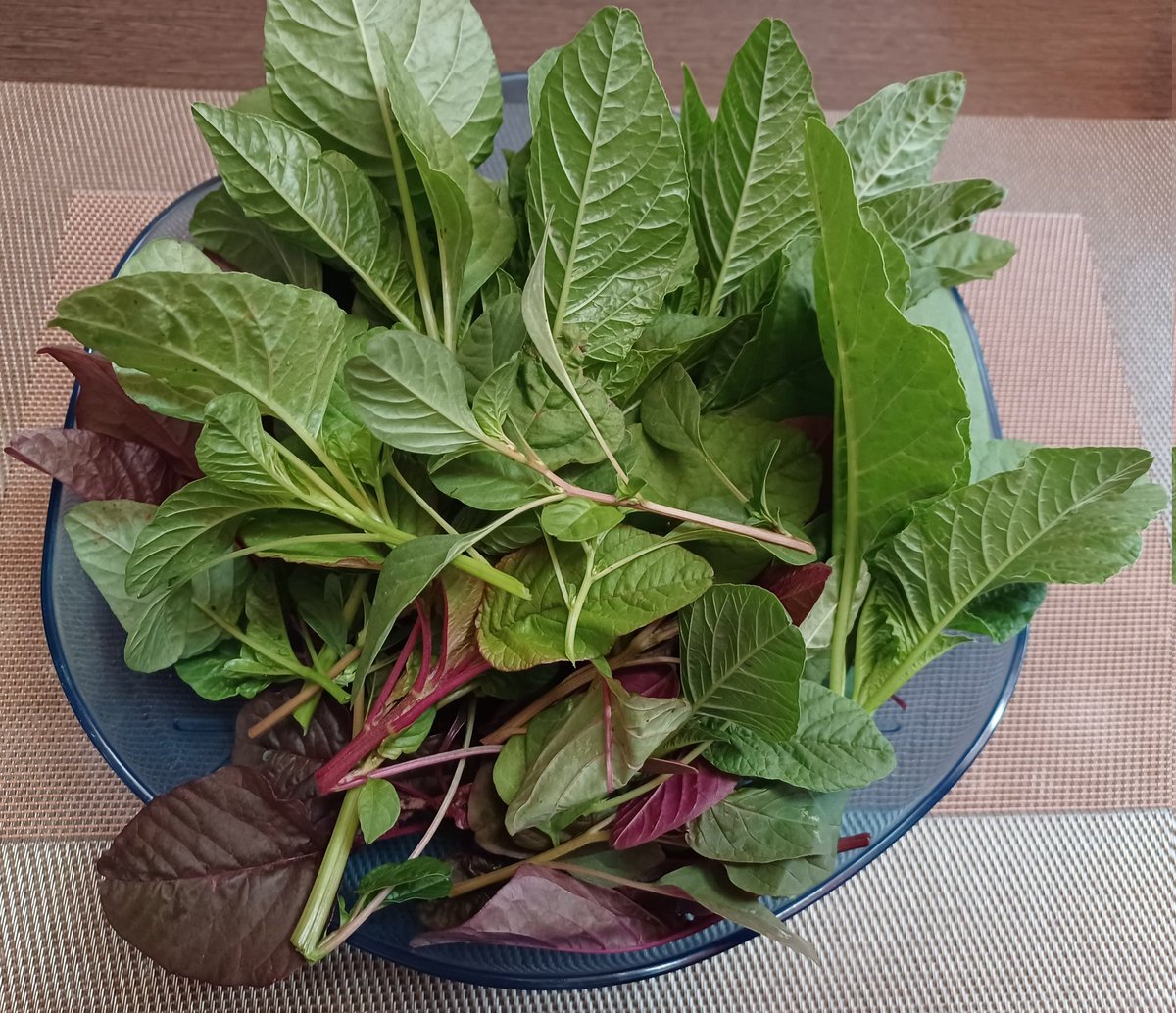 Fresh keerai from garden to kitchen.
#homegardening #TerraceGarden