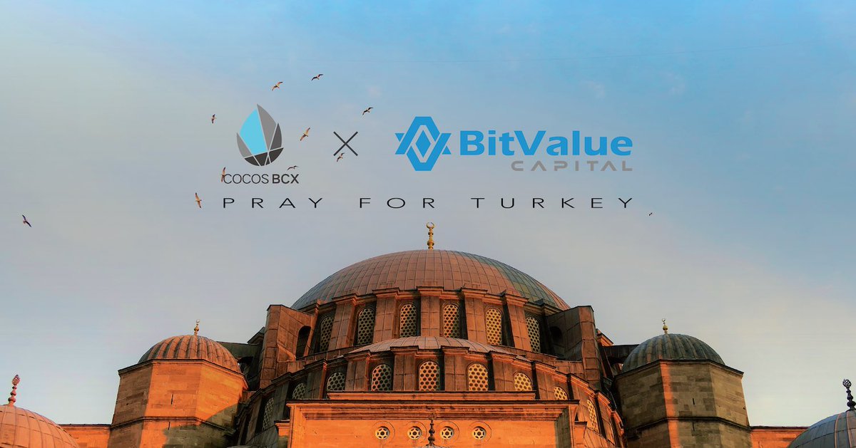 BitValue Capital tweet media