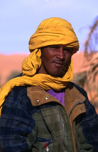 King of the Bondo mystery apes tweet media