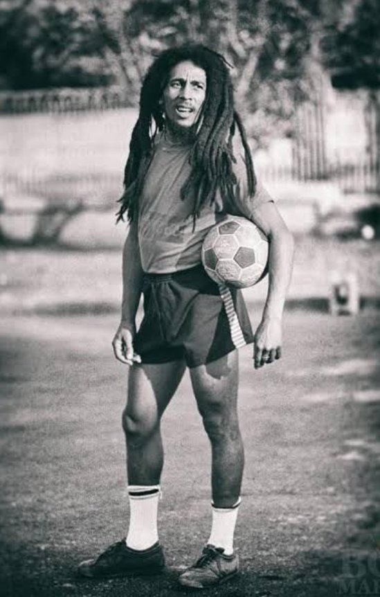 coctelpambolero tweet media