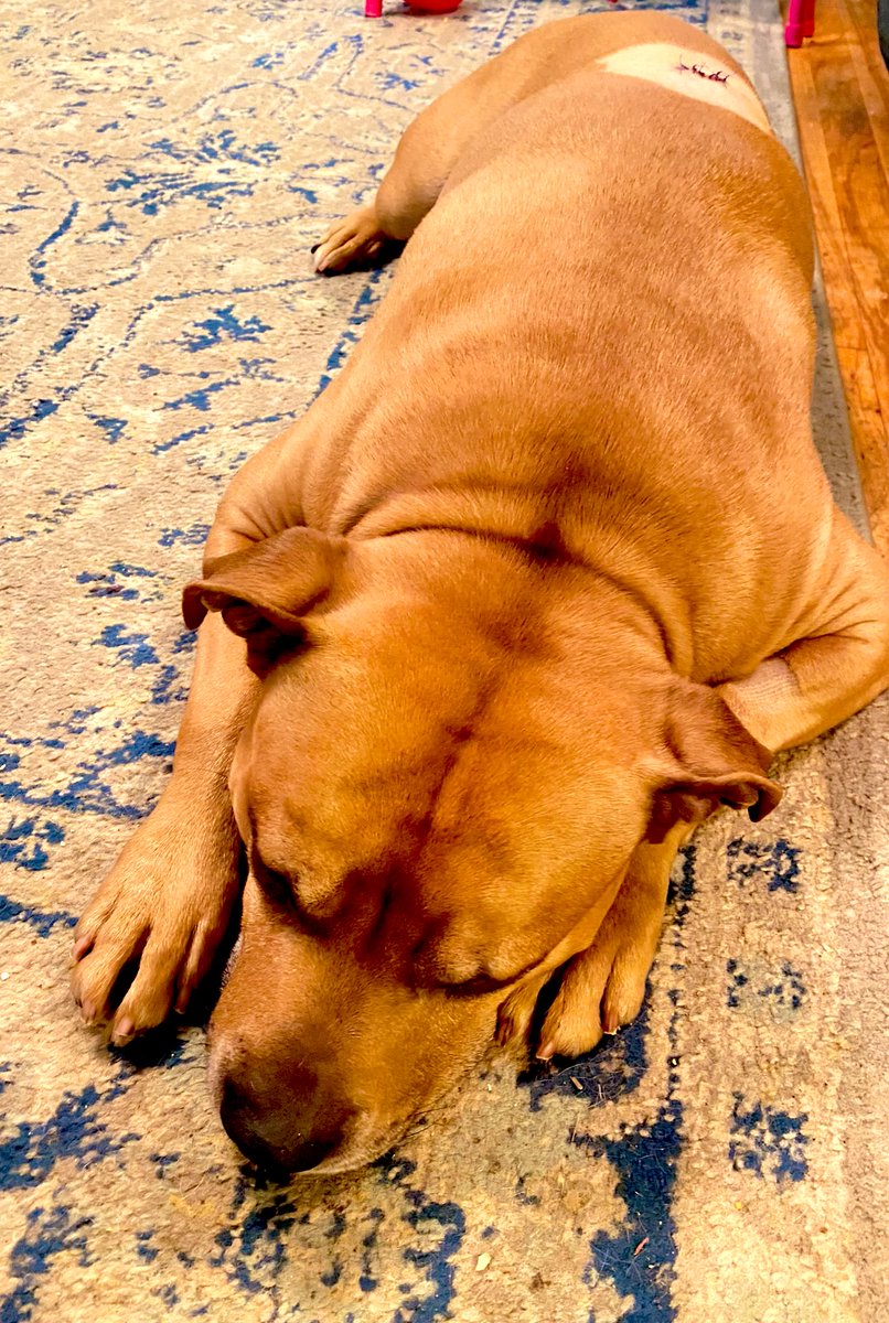 Jessica ✨ tweet media