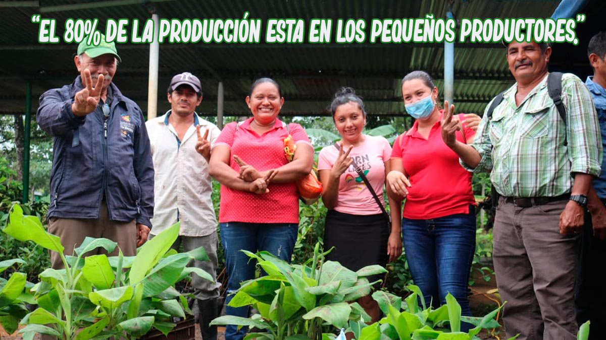 Nicaragua produce más del 80% de los alimentos que consume el país. Para el 2026 se espera abastecer a la población en 95% más de exportaciones. Erradicando todas las formas de hambre de los nicaragüenses en 2030. El 80% de la producción está en los pequeños productores.