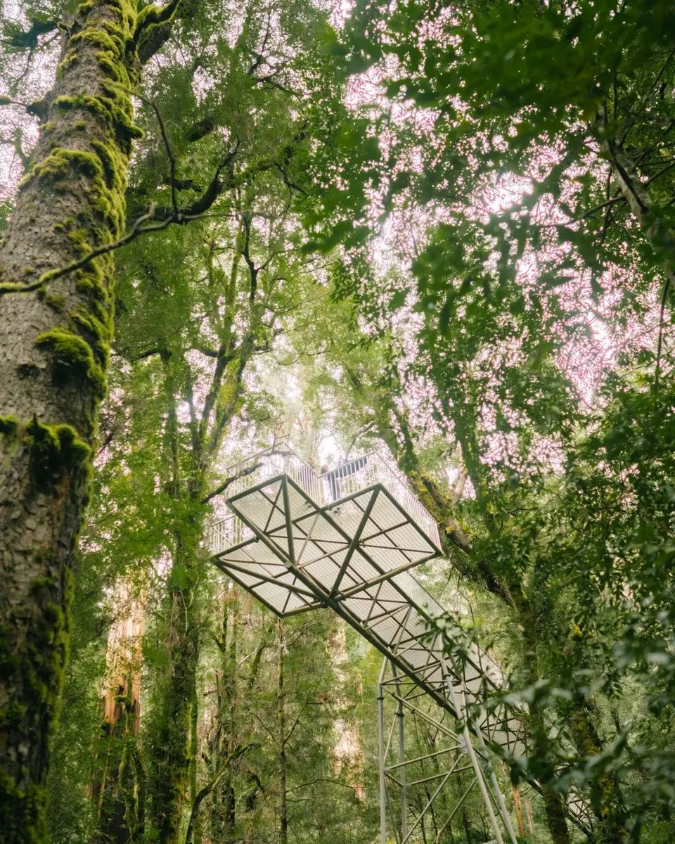 Melbourne, Australia tweet media