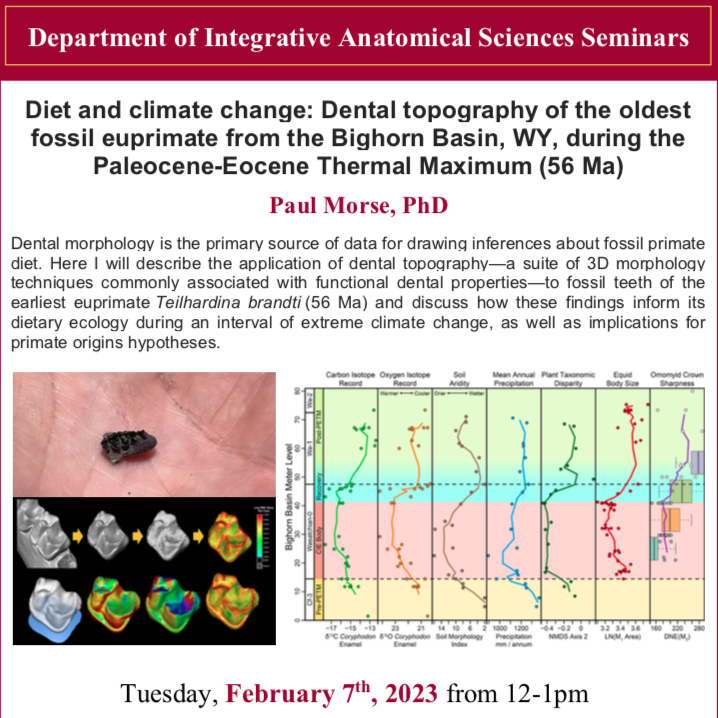 USC Paleosciences (@uscpaleosci) on Twitter photo This Tuesday @ 12pm Pacific <a href="/USC_IAS/">USC Anatomy</a> welcomes Dr. Paul Morse to talk about his research on primates, diet, & climate change during the #PETM DM for Zoom details! ... This Tuesday @ 12pm Pacific <a href="/USC_IAS/">USC Anatomy</a> welcomes Dr. Paul Morse to talk about his research on primates, diet, & climate change during the #PETM DM for Zoom details! ...