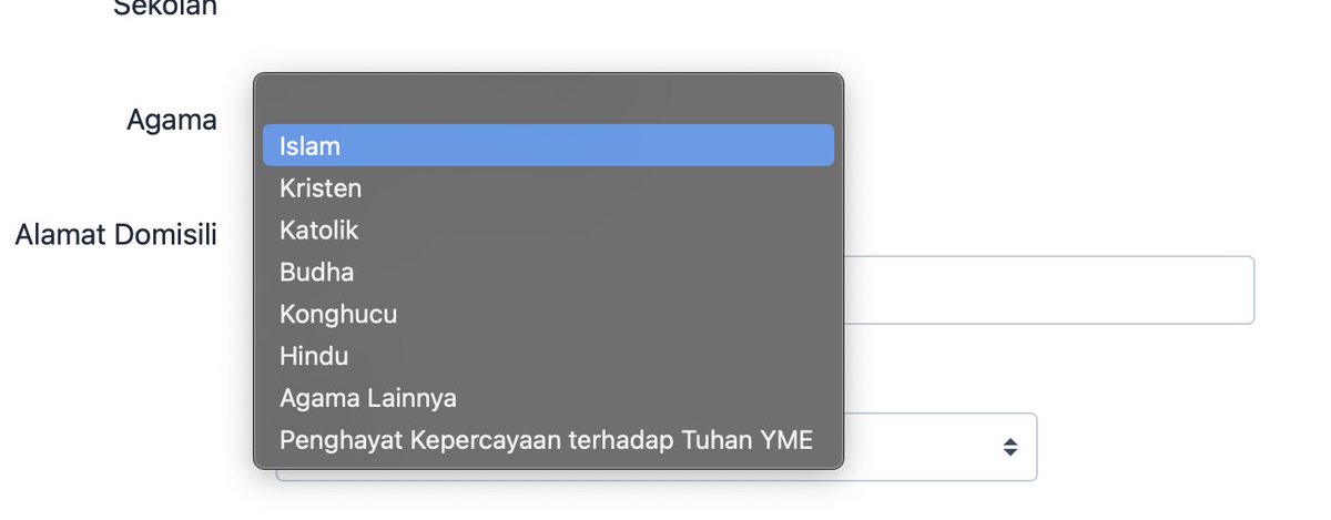 dhis! jujur bingung mau pilih yang mana buat akun snpmb 😔
