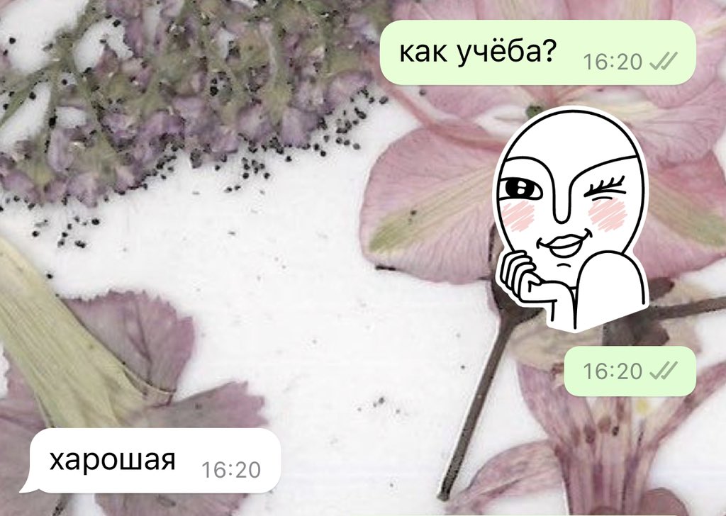 Генератор знаменитостей рандомный