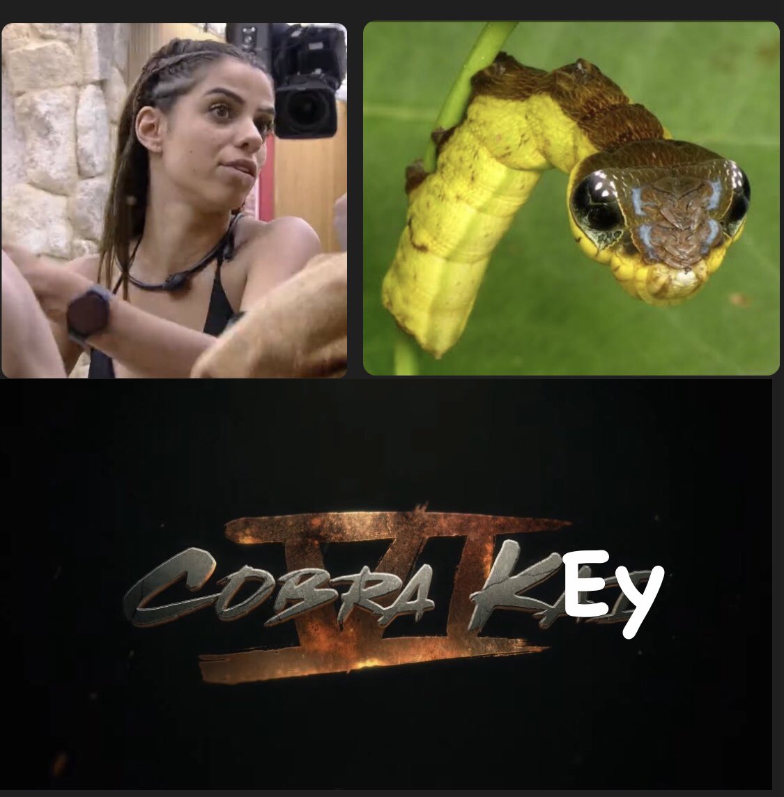 deboracarmo's tweet photo. A cobra Key fala fala no quarto, mas chega no ao vivo e toda sonsa de mais #ficatina #foraCesarBlack planta #keyfalsa #BBB23 https://t.co/tbIalGBbNv