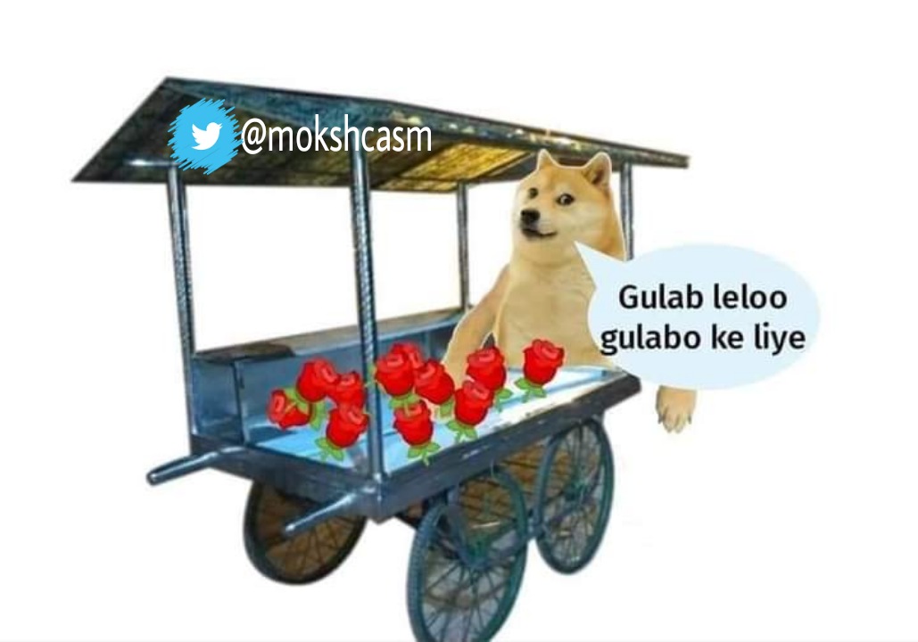 Mokshcasm's tweet photo. New start up for #Valentines_week 😉
#RoseDay 🌹👈
#Mokshcasm 🤓 https://t.co/RoiVSGVai0