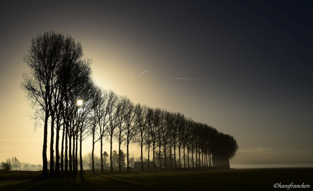HFrancken's tweet photo. Hoeiemorruhhuh allemaal , mooie dinsdag gewenst ! bij #Lewedorp , #ZuidBeveland, #MooiZeeland , #MooiNederland https://t.co/chiL2o0KCP