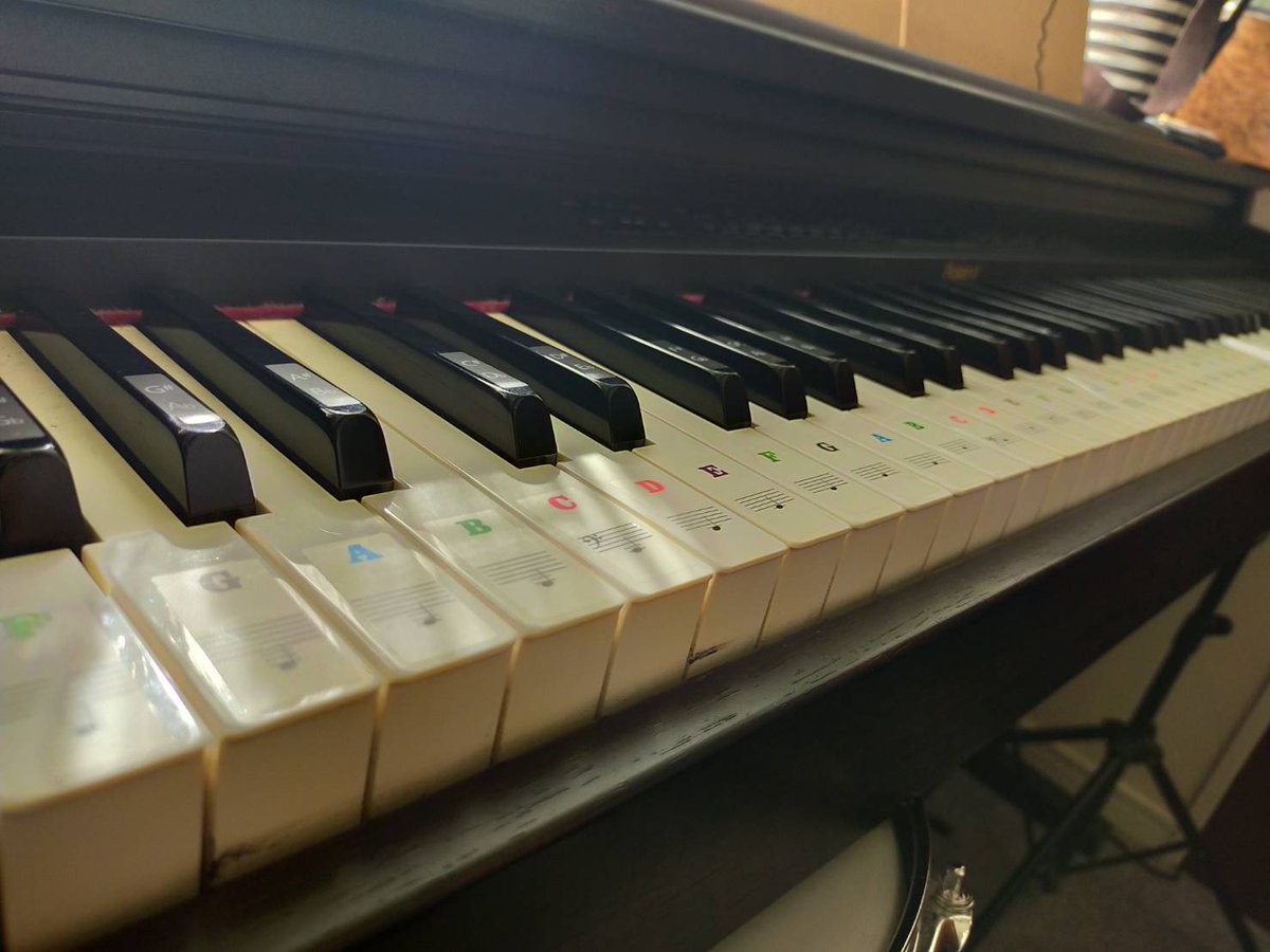 西東京市で歌を始めるならfeelピアノ教室。西東京市田無 feelピアノ教室は西東京市西武新宿線田無駅より徒歩5分。
f-piano.jp

#音楽 ​#歌​​​ #ヴォーカル #ギター​​​ #ベース #ドラム​​​ #ピアノ #DTM​​​ #ウクレレ #カメラ #バンドサークル #西東京市 ​#田無