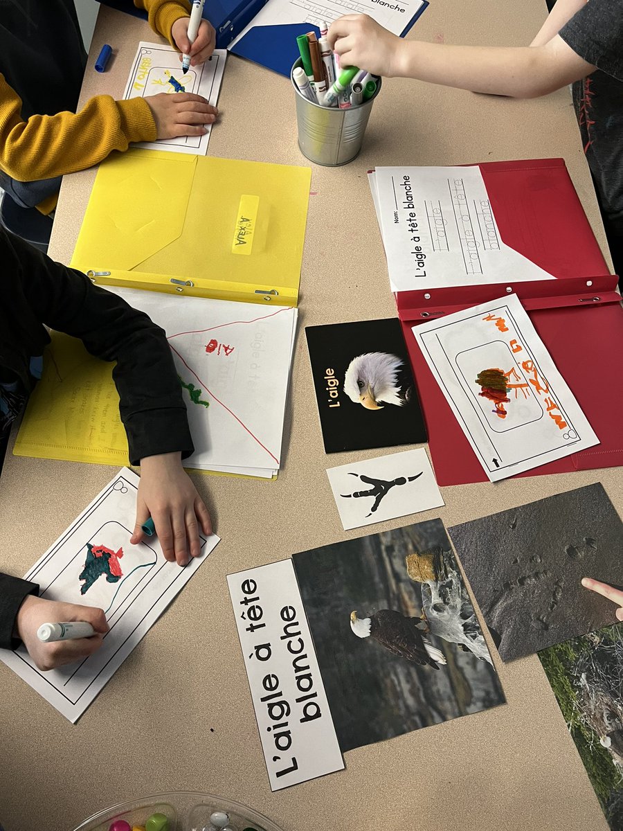 Nicole Banman tweet media