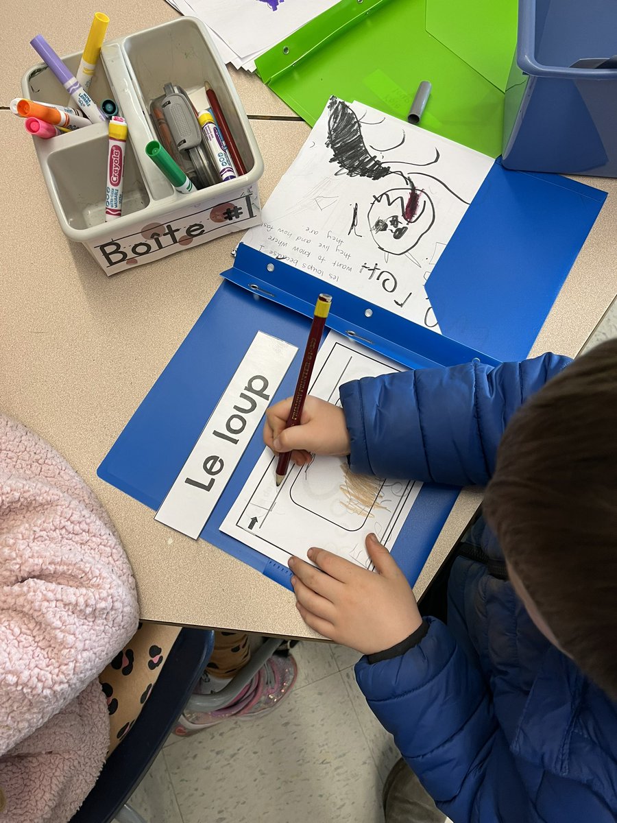 Nicole Banman tweet media