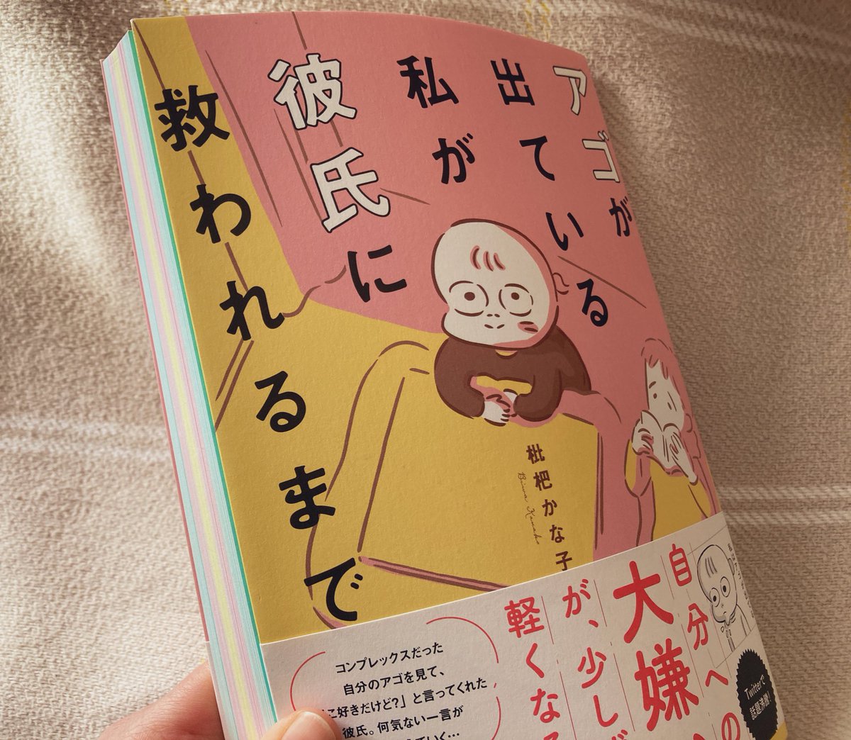 かな子さん(@BiwaAmazake )の本って本当かわいいんだ…
裁断した断面の色もかわいいし、絵のタッチもお話もかわいいんだ…☺️ 