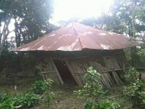 እባካቸሁ ሁላችሁም ይህንን ሪ-ቲውት አድርጉት
Please #Retwet this

ጥያቄ ለእነ አቡነ አብርሃም
"ቤተክርስቲያን እንደዚህ ስትወድቅ የት ነበራችሁ? ይሄ ሁሉ የአሁኑ ግርግር ስለ ሀይማኖት ቢሆን ከዚህ በላይ ማቅ የሚያስለብስ ነገር ነበርን? 🥲