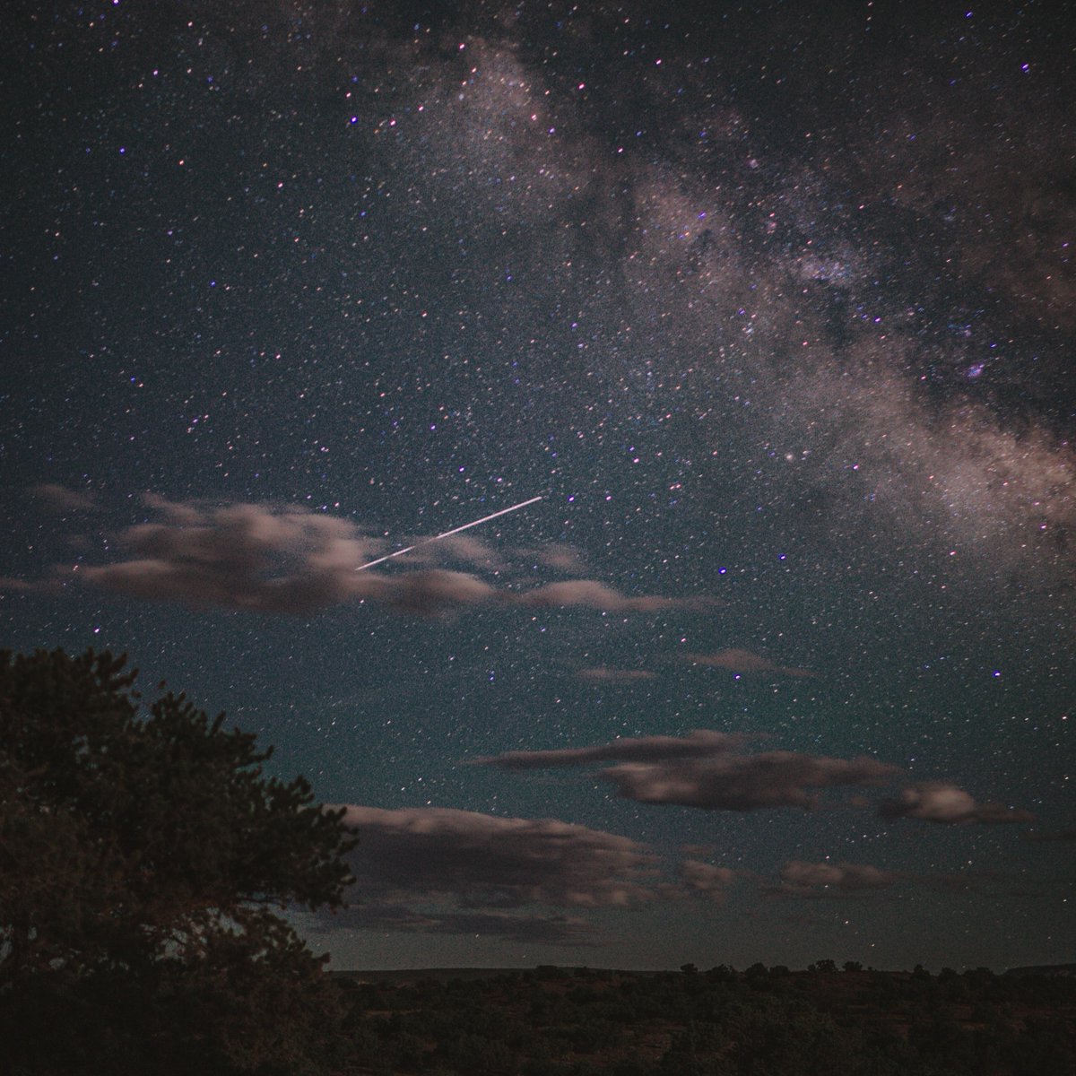 ForeverZion's tweet photo. Creative Partners. 📸 
Meet, Aaron Chokbengboun. 👋  (@AwenScott) 
Learn more about Aaron at https://t.co/ybcPMpKiH5
#ZionForeverProject #ZionNationalPark #CreativePartners #SaveWhatYouLove 
#MightyFive #UtahNightSky #NightSkyPark https://t.co/yeLcOhwaMf