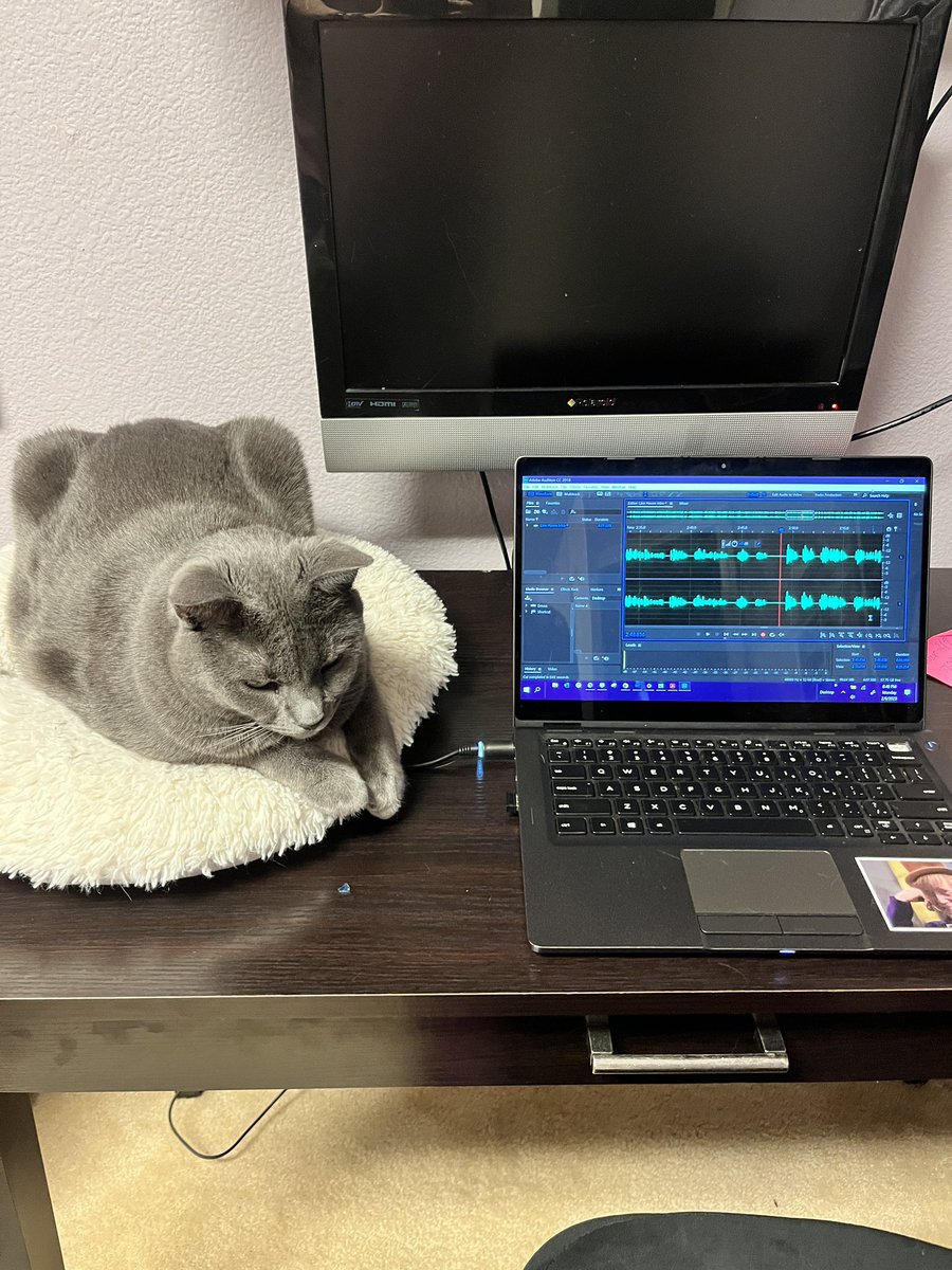LinnHaven's tweet photo. The search for the Linn Haven continues. It now takes the form of a podcast that is coming soon to a podcast platform near you. This is my podcat producer. https://t.co/p2mIsEVSw7