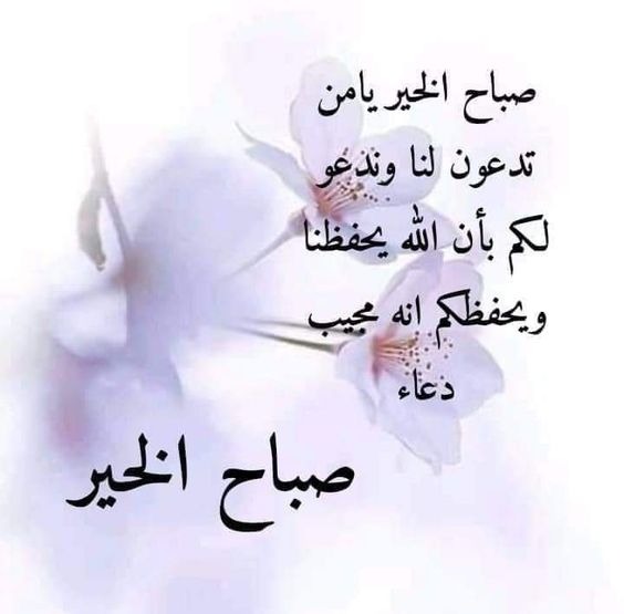 ظافر (@zafeer1400) on Twitter photo 