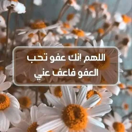 e m a d 🦅 10 (@oomda900) on Twitter photo 