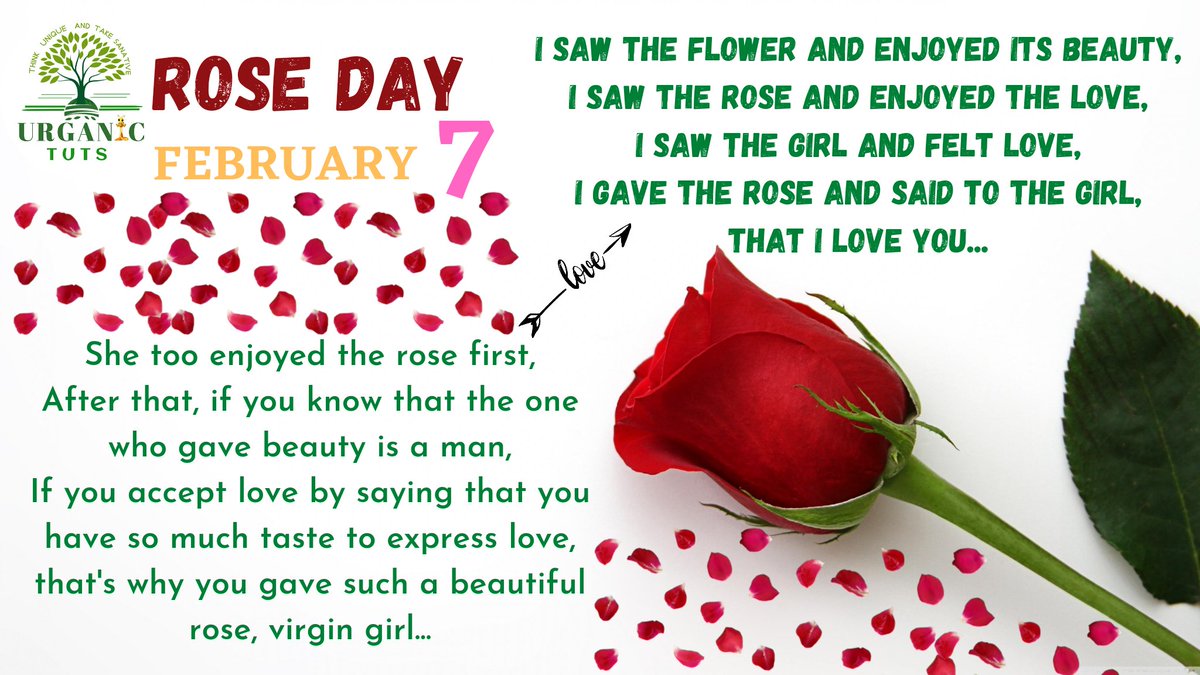 YoursTUTS's tweet photo. Rose Day February 7th it's a enjoyable moment for every loveing pairs, #Happy #VelantinesDay  #lovequotes #fb7  #urganictuts Urganic TuTs  Urganic TuTs Keerthana Priya 

#Save the #Nature,
Forever Gives our #Healthy #Lifestyle,
#followusformore by URGANIC TuTs #brand @YoursTUTS https://t.co/MOsPSCX4HX