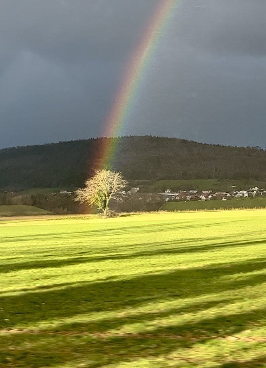 Rafapv7's tweet photo. @carlaconwifi en enero de 2023 en Waldshut-Tiengen, Alemania https://t.co/P58YhcOT95