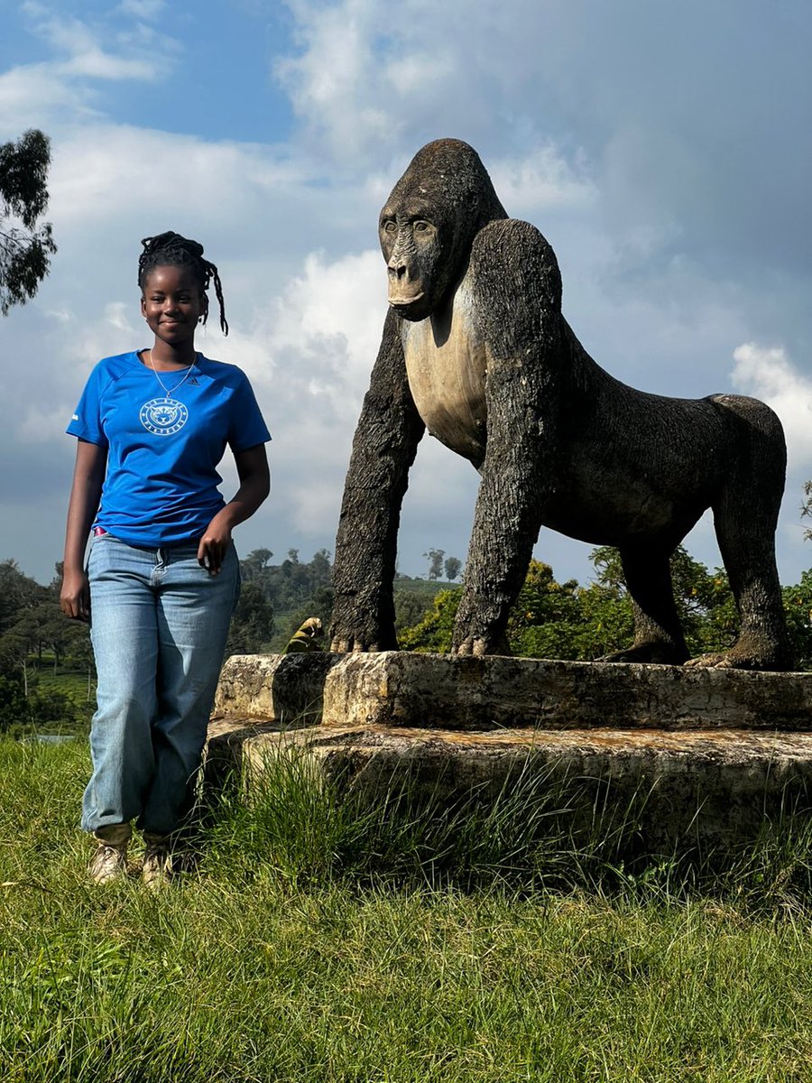 Dario Merlo Kasuku tweet media