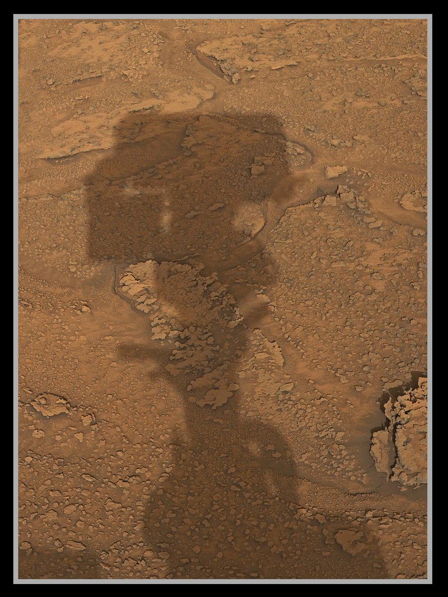 Stuart Atkinson tweet media