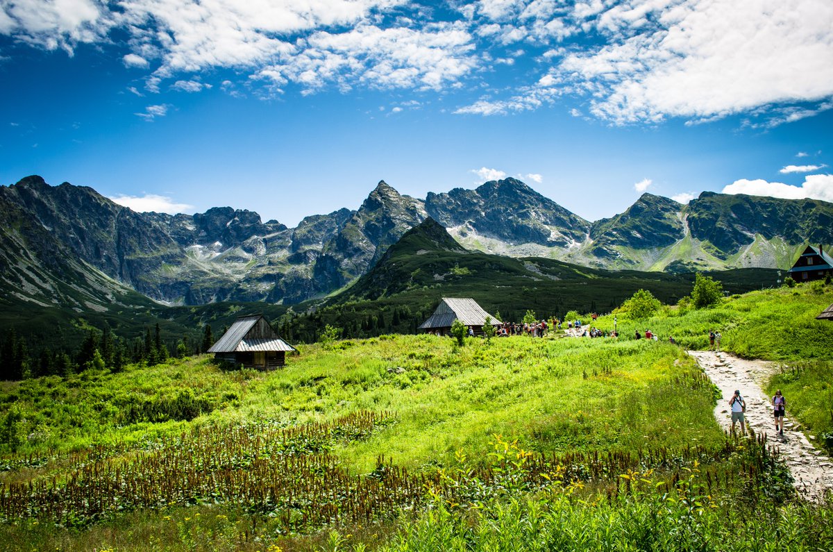 BillBridges99's tweet photo. @VisualsbySauter 1. Dulowska Forest.
2. Śnieżka, Karkonosze Mts.
3. Hala Gąsienicowa, Tatry Mts.
4. Połonina Caryńska, Bieszczady Mts (view from Połonina Wetlińska).

#Poland #Karkonosze #Tatry #Bieszczady #Dulowska #Gasienicowa #Sniezka #Carynska #Wetlinska #Hiking #adventure #photography #Hike https://t.co/xSoSJw04Fy