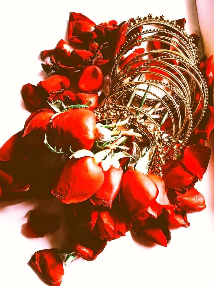 Happy Rose Day My Dear..  Hope your life blooms like these roses and is filled with happiness and love with your success.
<a href="/gurruchoudhary/">GURMEET CHOUDHARY</a> 
#GurmeetChoudhary 
#Gurmeet 
#guruchoudhary 
#RoseDay 
#HappyRoseDay