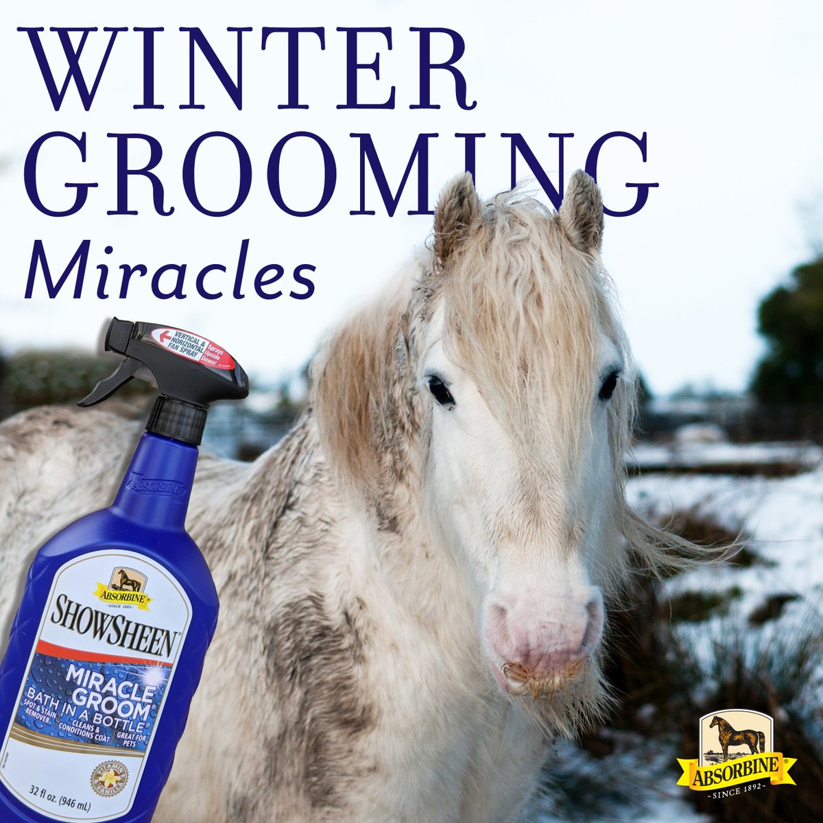 Absorbine Miracle Groom - Bath In A Bottle® waterless shampoo. An all-in-one formula that cleans, conditions, deodorizes, detangles, &amp; shines with no need for rinsing or extra water!  Ideal for muddy horses on these cold winter days!
absorbine.co.uk/items/showshee… #absorbinemiraclegroom
