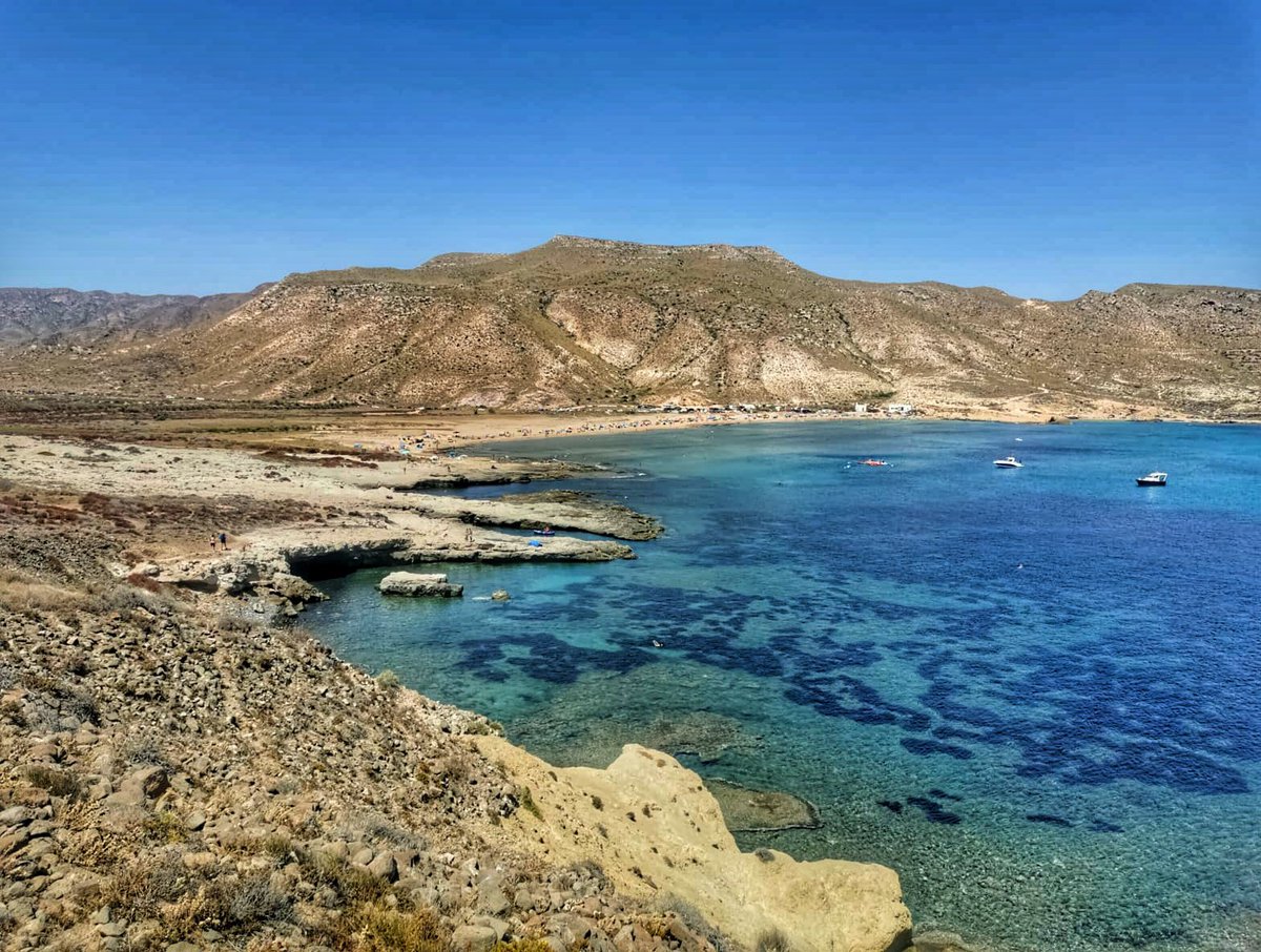 España Conmigo tweet media