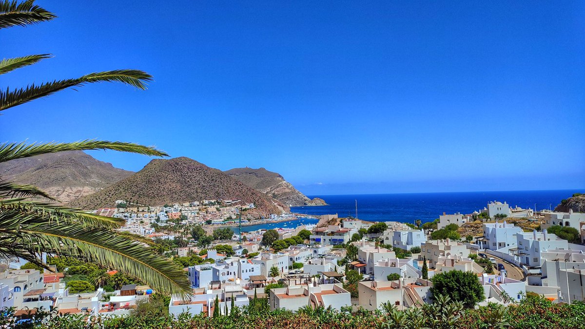 España Conmigo tweet media