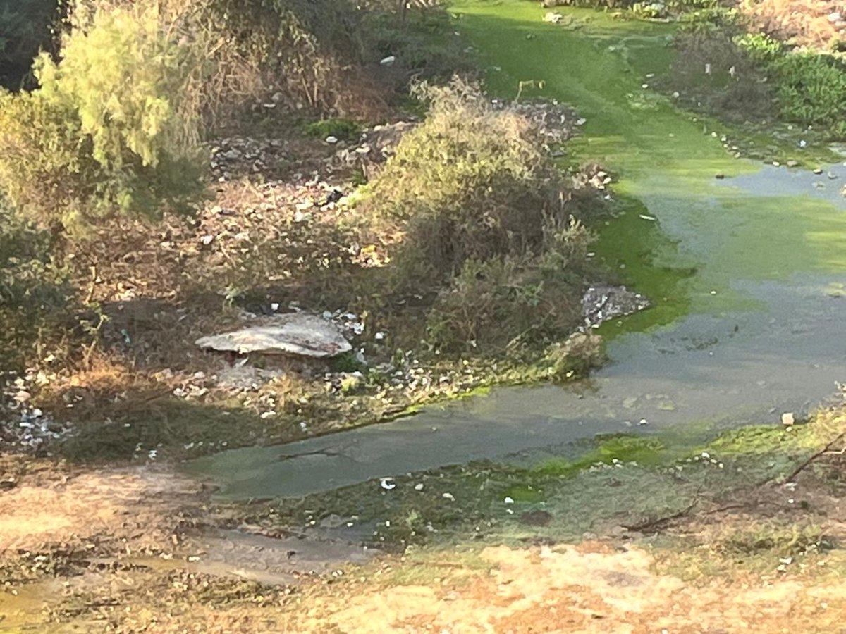 hpundir's tweet photo. @MunCorpGurugram Dear sir, behind Hibiscus,sector 50, water has collected n is now breeding ground for mosquitoes. Pls look into it https://t.co/HfdHXf4JYI