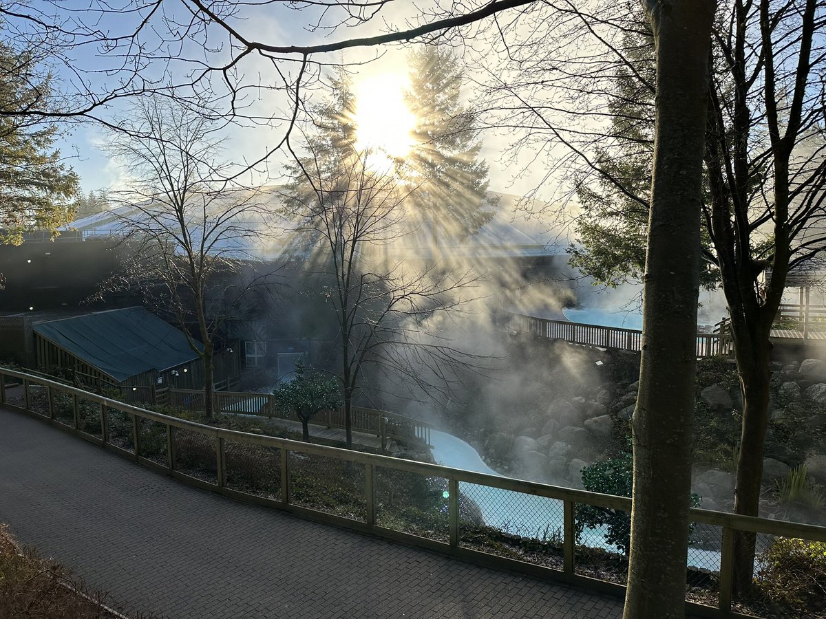 You can’t go wrong with Center Parcs 👌🏼🌳🏊‍♂️  <a href="/CenterParcsUK/">Total10</a> #longleat #mycp #centerparcs