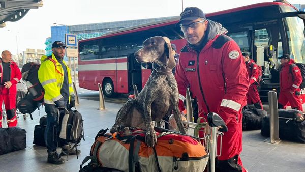 Teşekkürler
Bulgaristan, Hırvatistan, Çekya, Fransa, Yunanistan, Hollanda, Polonya, Romanya, İtalya, Macaristan, Avusturya, Almanya, Estonya, İspanya, Malta, Slovakya, Portekiz, Karadağ ve Arnavutluk'tan Türkiye'ye arama kurtarma ve sağlık ekipleri gönderildi.