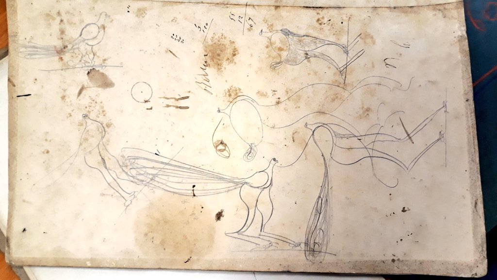 AlexisHamelin2's tweet image. Mi-autruche, mi-pigeon, mi-libellule, mi-skieur pour cette chimère volatile dans mes #archives 😆
#viedarchiviste #archiviste