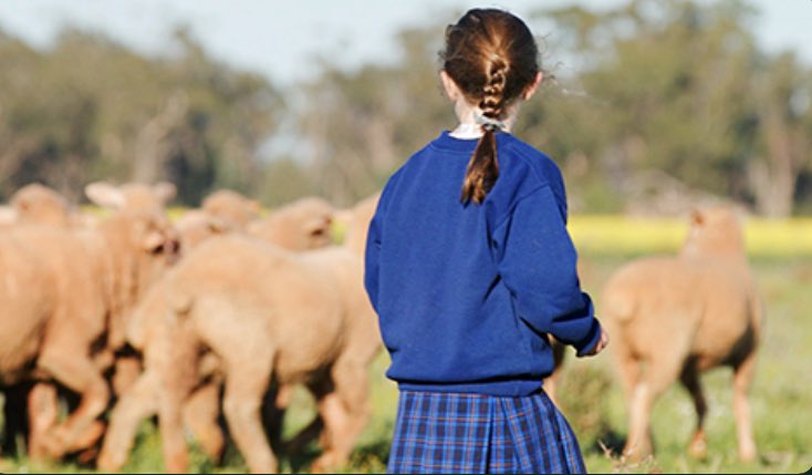 178 new #redmeatindustry #educational  resources out for the 2023 #school year covering grades from Foundation to Year 10! goodmeat.com.au/educational-re…