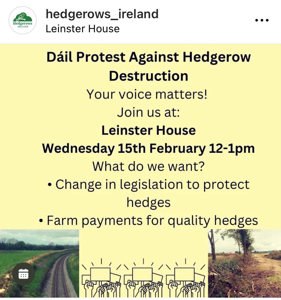 HedgeRowsIrl's tweet photo. https://t.co/tONC7VhWU6