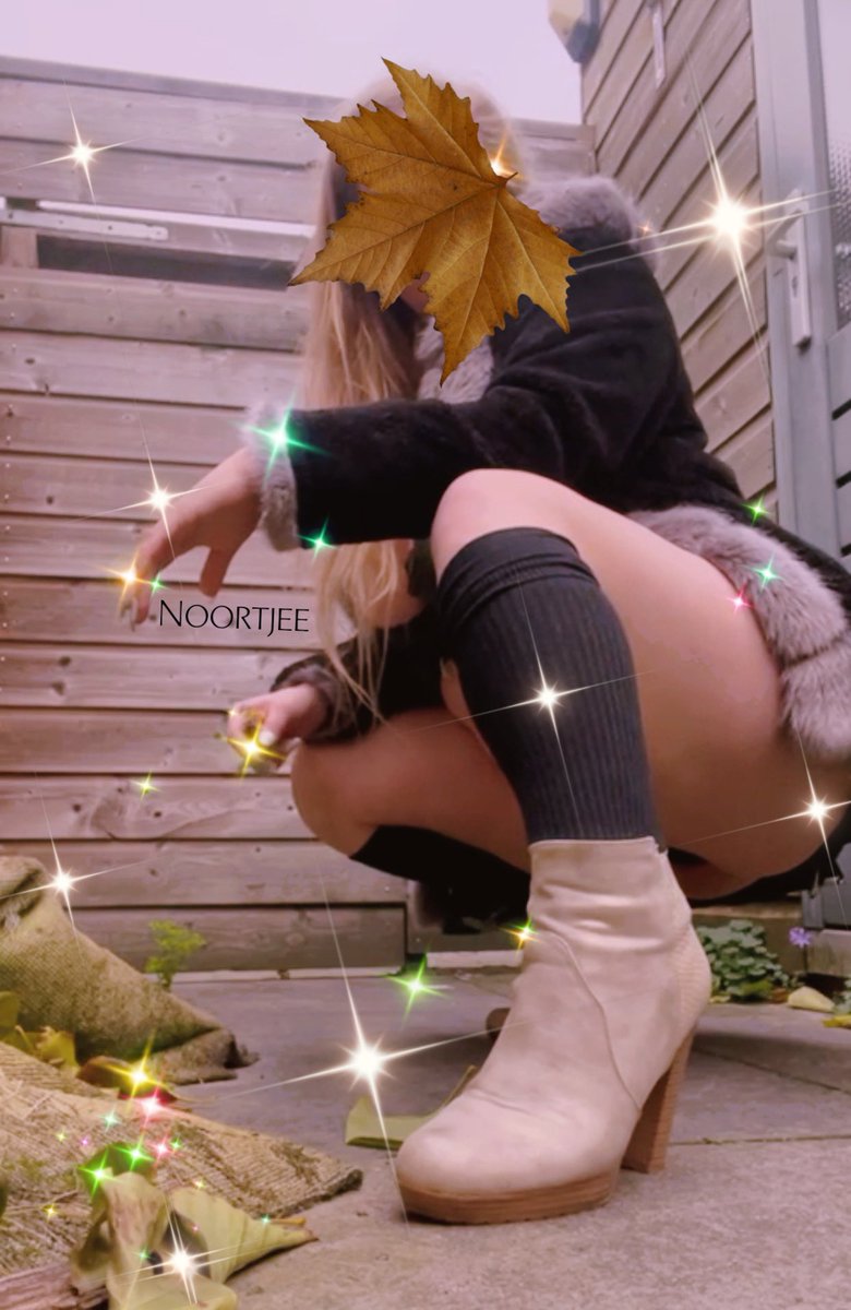 ♥ 🔞Noortjee 🔞♥ tweet media