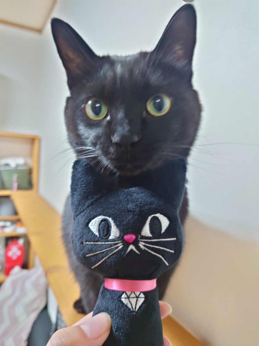 mishin-xxx- (@mishin_xxx_)  X