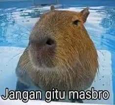 Kang nyolong meme tweet media