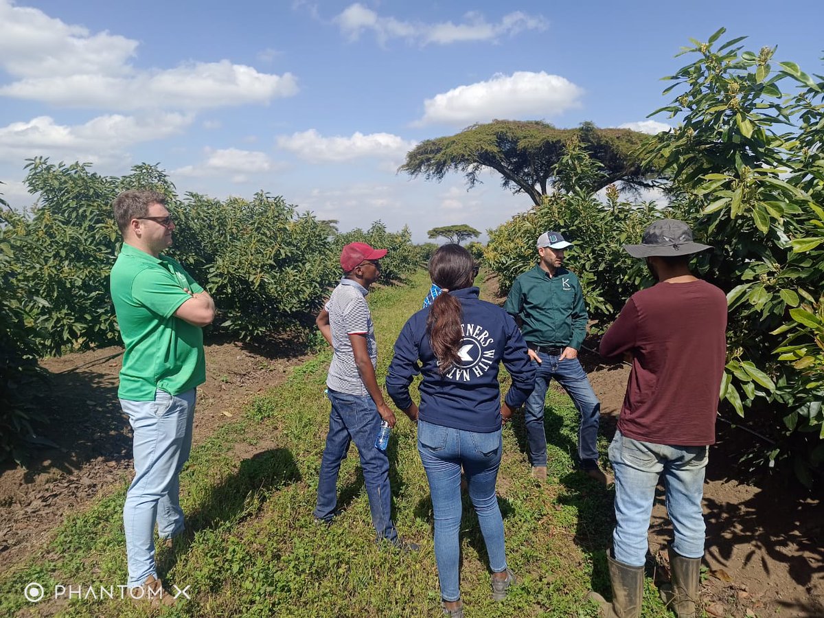 KoppertKenya's tweet photo. Koppert offers Kenyan growers a complete technology package for integrated pest and disease management, from seed treatment, biofertilizers, and pest monitoring to macro and microbiological protection for crops.
want our help? Call us on 0731 202 191 today!
#WeWorkForGrowers https://t.co/68sZEJ4Vmg