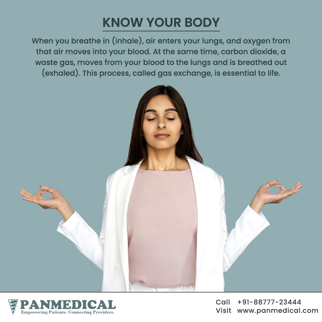 #LungsMatter: Take Care of Your Respiratory Health Now! #Panmedical #BreatheIn #BreatheOut #LungAwareness #LungCare #RespiratorySystem #HealthyLungs #Smoking #Pollution #Asthma #Bronchitis #FreeConsultation.