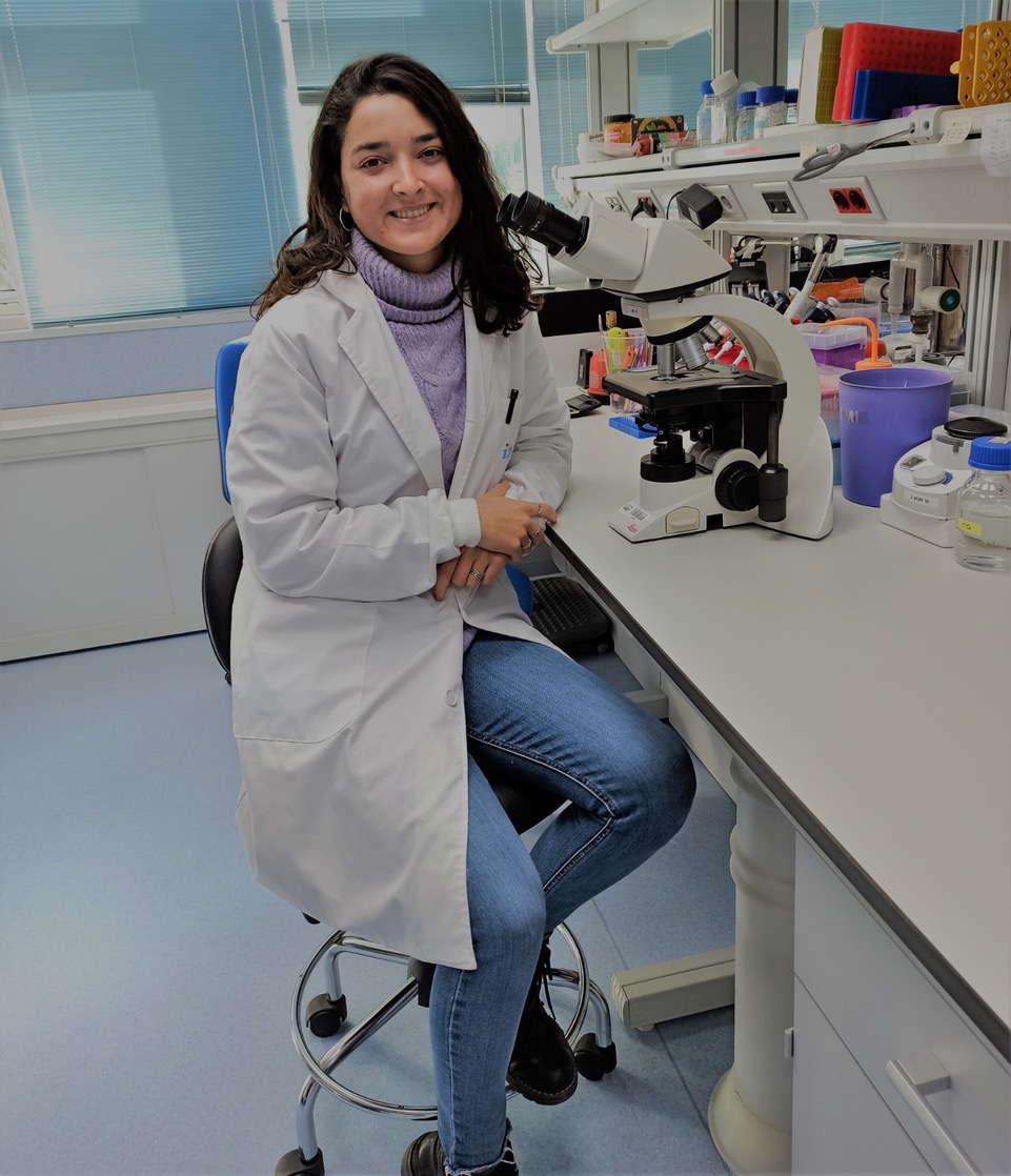 IBV-CSIC tweet media