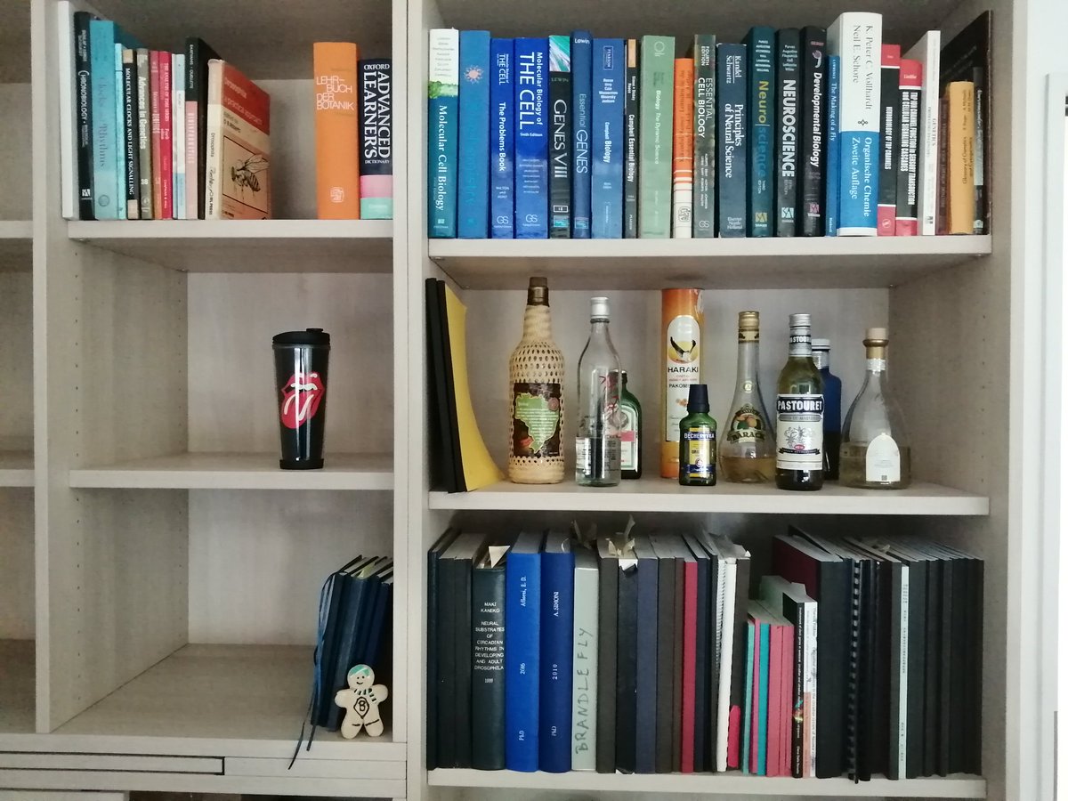 On our move to the new Multiscale Imaging Centre MIC @WWU_Muenster. First things First😉