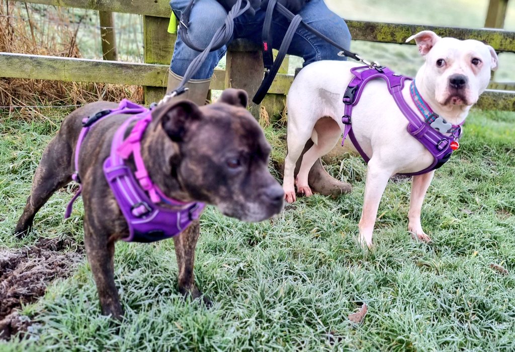 Shonagh Giles on Twitter "RT SeniorStaffy Good morning from our