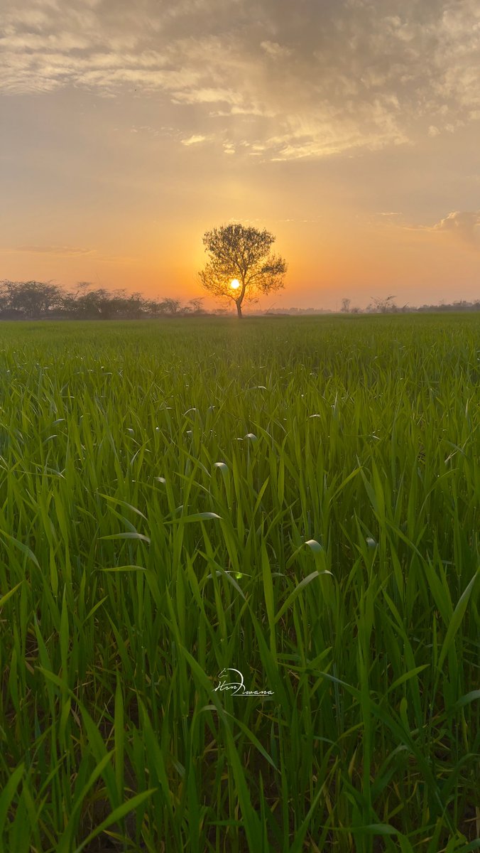 hsntalal_tiwana's tweet photo. Post a picture taken with your phone. https://t.co/blTyyoGGz8