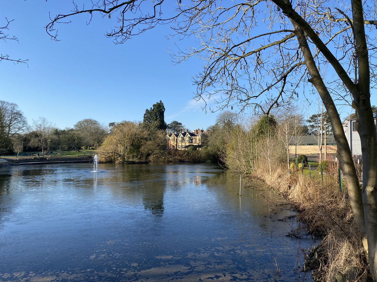 Martin Borrett tweet media