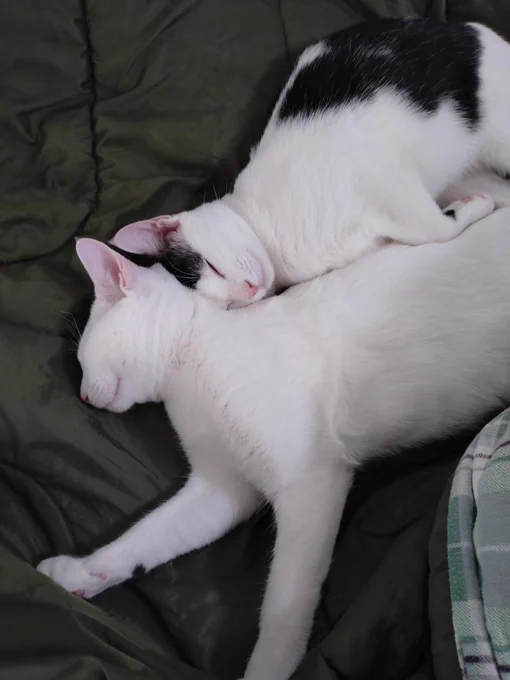 いのち…おっきくなったね… 